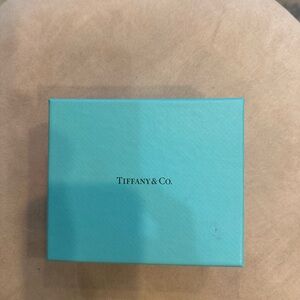 Tiffany & Co. Turquoise Gift Box